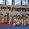 Brown & Black grading
