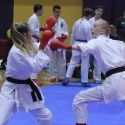 Holly training