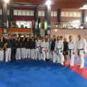 Australian representatives
