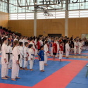 Competition Bow in
