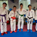 Seiha team