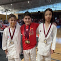 Seiha medals
