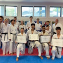 Seiha grading